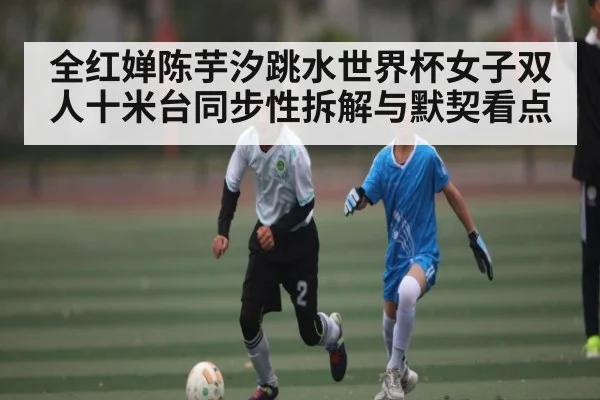 全红婵陈芋汐跳水世界杯女子双人十米台同步性拆解与默契看点